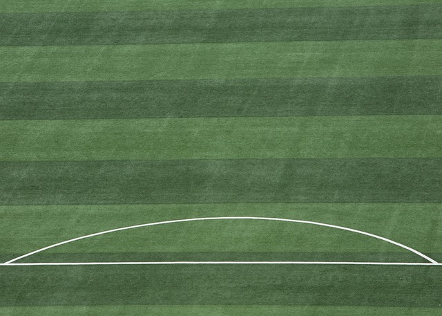 和意志都是 和意志都是