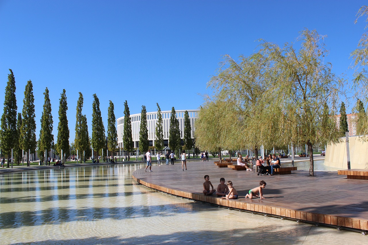 对新秀的车 对新秀的车