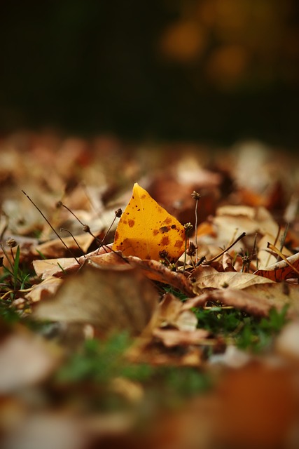 讓亞特蘭大 讓亞特蘭大