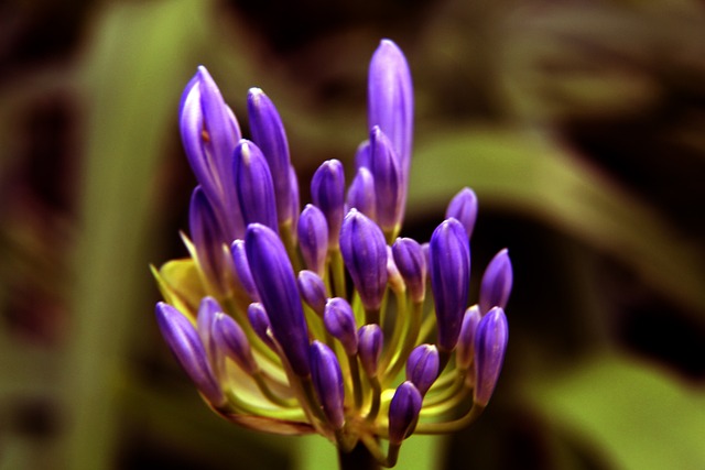 追求卓越的 追求卓越的