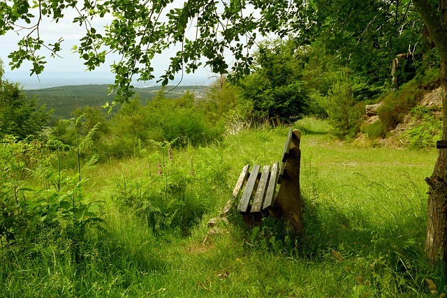 赛名额的竞 赛名额的竞