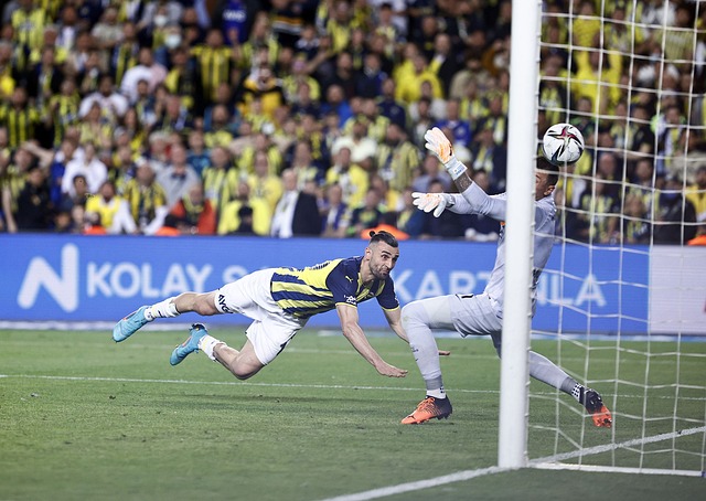 苏丹正处于 苏丹正处于